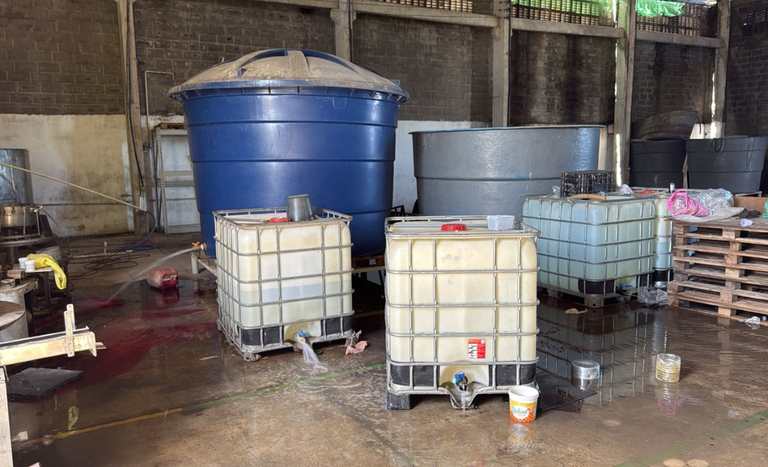 Vigifronteiras_PE (1).png