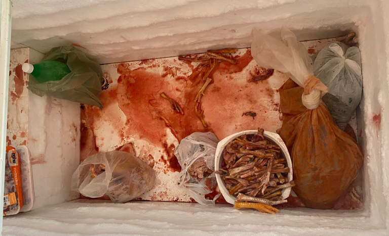 apreensao_Ceara (3).png