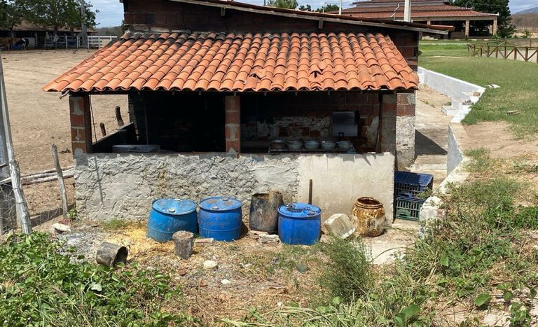 apreensao_Ceara (4).png