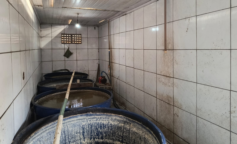 Fiscalização-bebidas (2).png