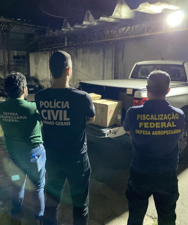 ronda pet iii 3.jpeg