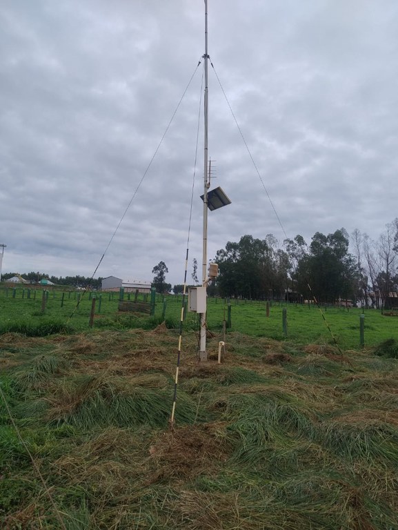 WhatsApp Image 2025-12-12 at 16.25.37.jpeg