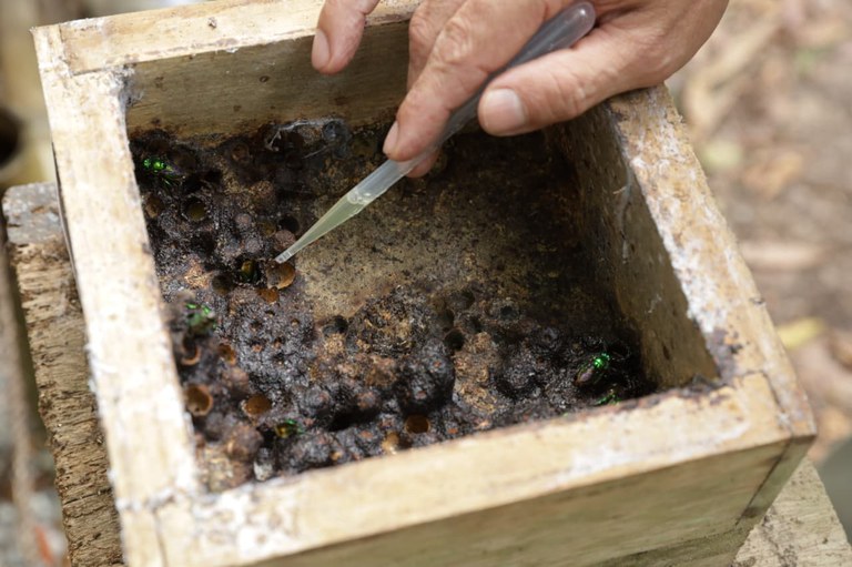 WhatsApp Image 2025-11-13 at 11.01.23.jpeg