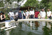 Mapa visita vitrines da Embrapa na COP30 e destaca soluções científicas para a agricultura e o clima