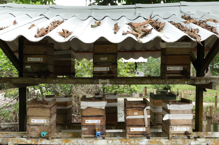 WhatsApp Image 2025-11-13 at 16.14.05.jpeg