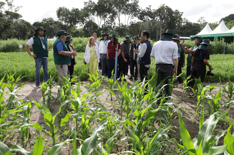 WhatsApp Image 2025-11-13 at 16.14.06.jpeg