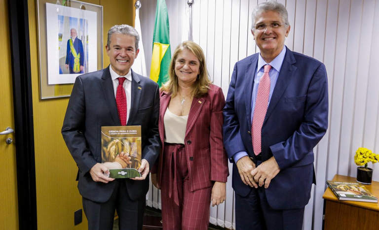 CAPA (1150 x 700 px).png