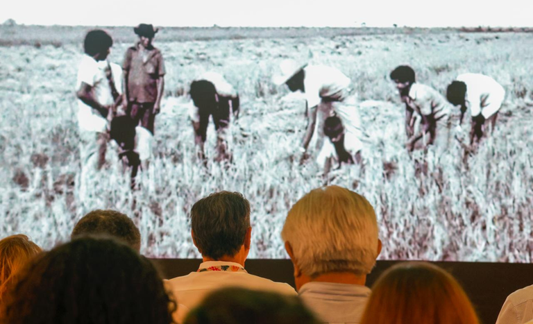 DOC-INDIGENAS (4).png