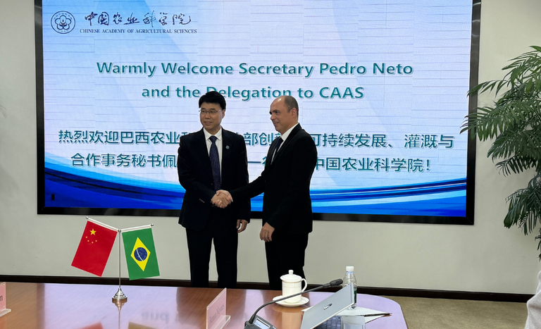 China_missaoJUnho (1).png