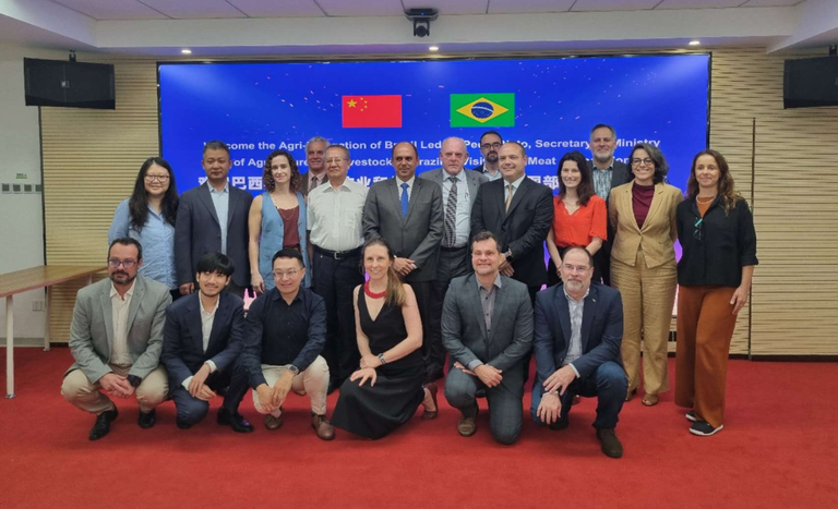 China_missaoJUnho (5).png