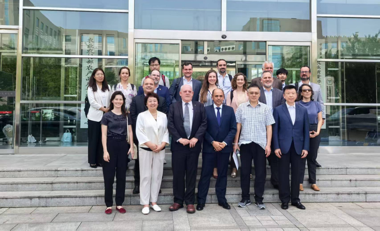 China_missaoJUnho (6).png