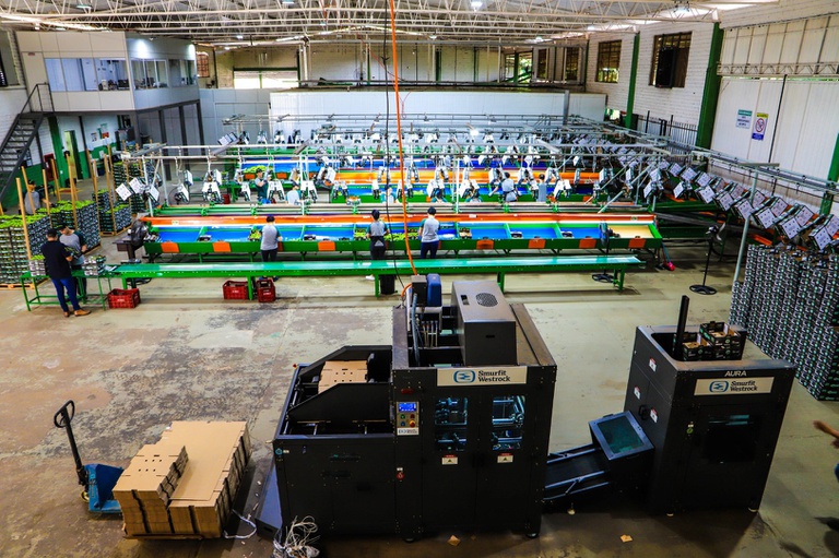 Missão internacional avança na abertura do mercado cubano para frutas brasileiras (1).jpeg