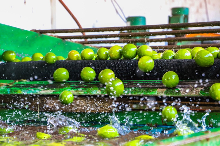 Missão internacional avança na abertura do mercado cubano para frutas brasileiras (3).jpeg