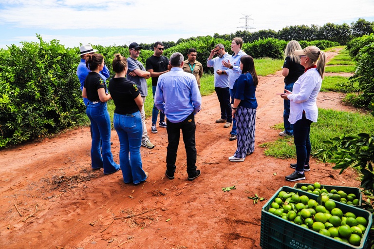 Missão internacional avança na abertura do mercado cubano para frutas brasileiras (6).jpeg