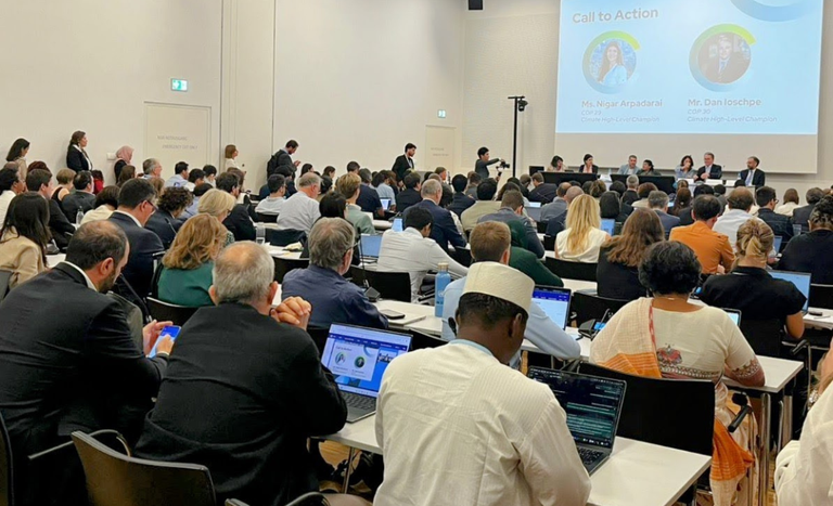 preCOP30_ALEMANHA (2).png