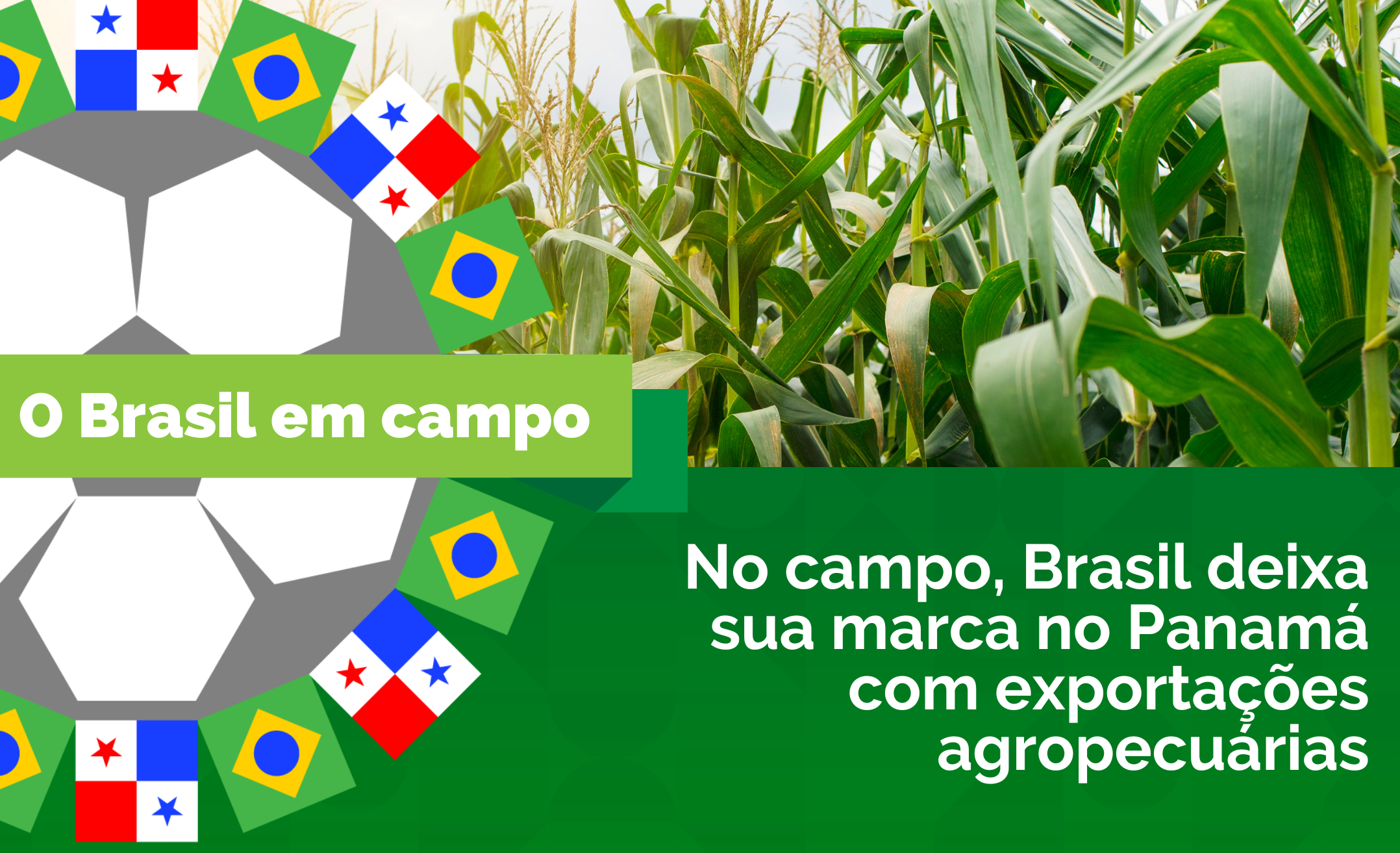 No campo, Brasil deixa sua marca no Panamá com exportações agropecuárias —  Ministério da Agricultura e Pecuária