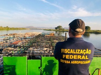 Nova lei amplia adicional de fronteira e reforça atuação da defesa agropecuária nas regiões estratégicas do país