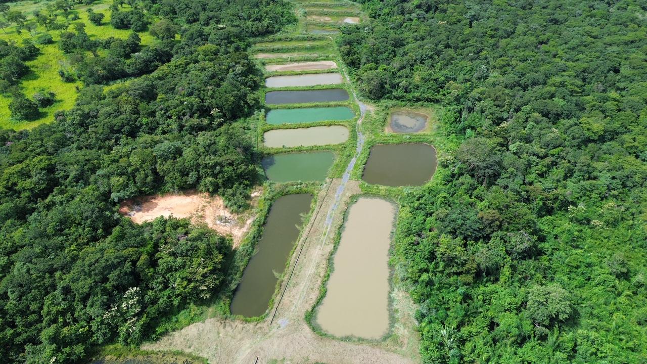 Nova Unidade Mista de Pesquisa na Baixada Cuiabana fortalece agricultura familiar em Mato Grosso. Foto: Gustavo Araújo
