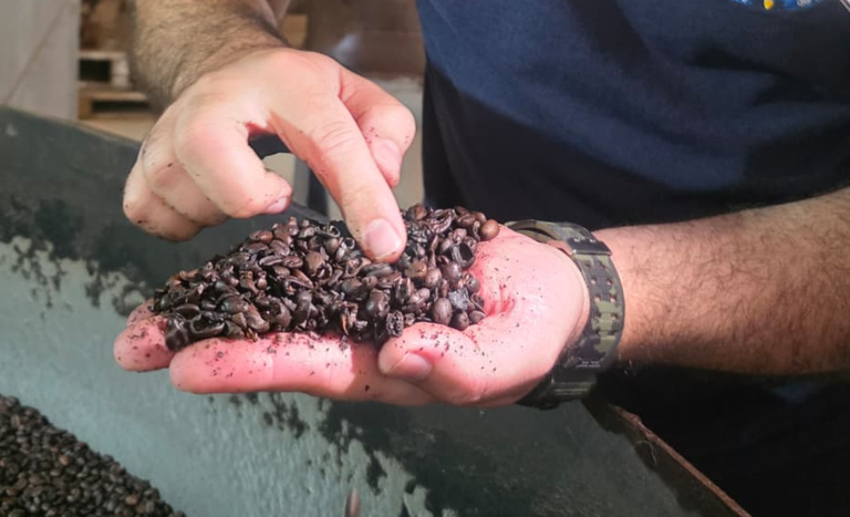 Café-RJ-Fiscalizacao (1).png