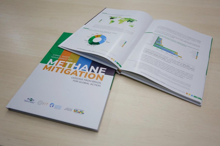 WhatsApp Image 2025-11-13 at 20.23.32 (1).jpeg