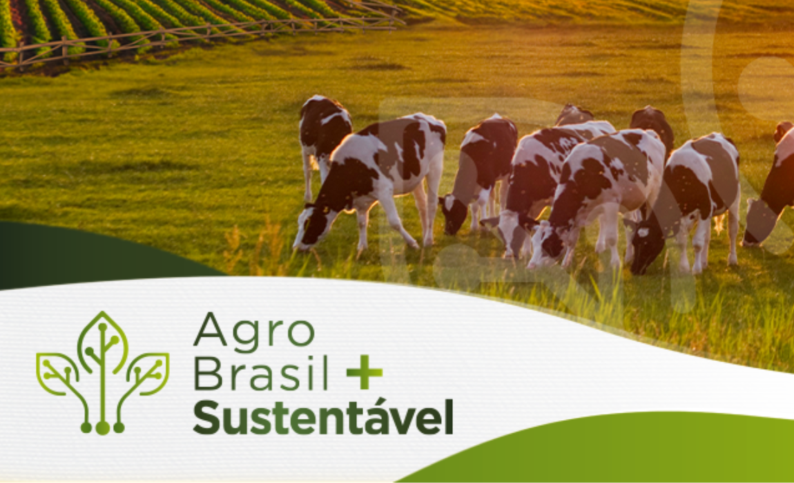 A funcionalidade permite ao produtor rural validar, de forma automática, se a área de produção cumpre requisitos críticos para a exportação à mercados externos