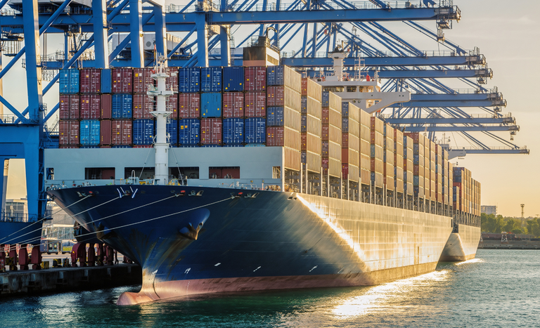 CAPA (1150 x 700 px).png