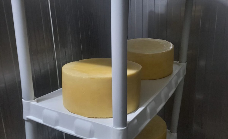 WhatsApp Image 2026-03-04 at 17.44.09 (2).jpeg