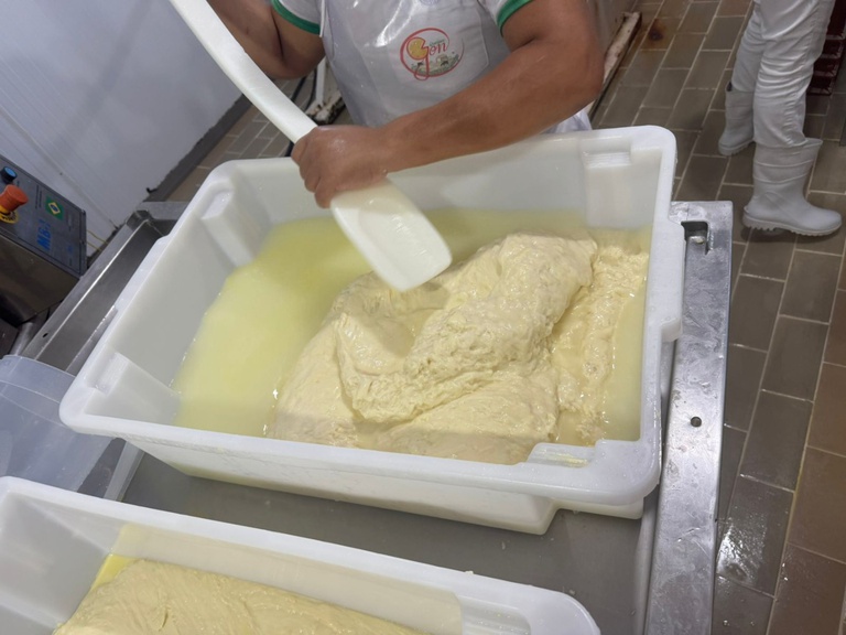 WhatsApp Image 2026-03-04 at 17.44.09.jpeg