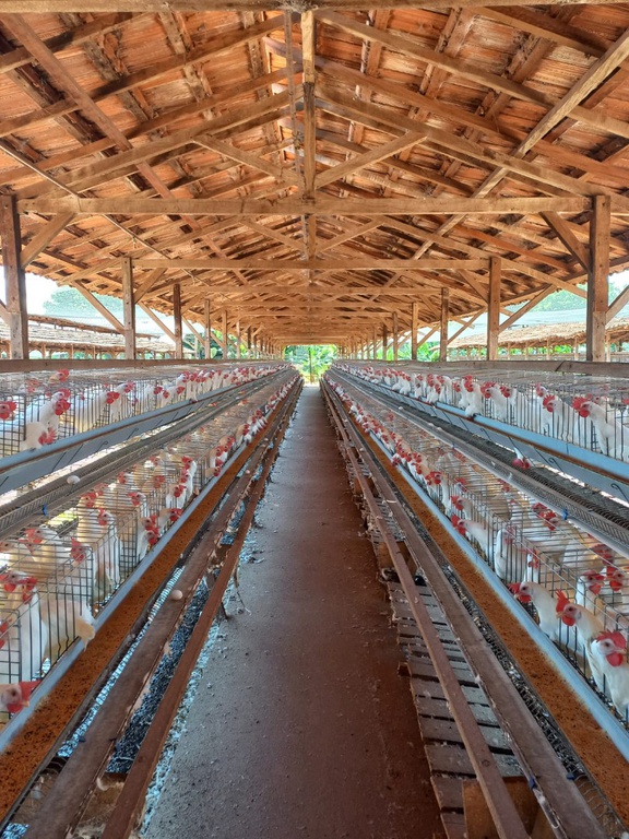 WhatsApp Image 2026-03-04 at 17.44.10.jpeg