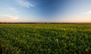 CAPA SITE 1150 X 700 (1).png