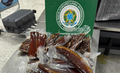Em março, mais de 3 toneladas foram interceptadas em voos internacionais. Entre os itens, estão cogumelos, grãos, camarão, pescado e embutidos suínos de produção caseira