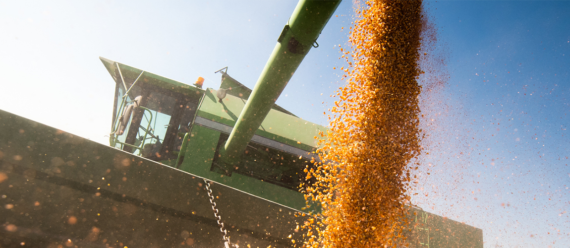 Agropecuária Brasileira em Números