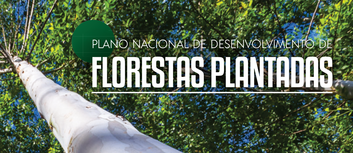 Plano Nacional de Florestas Plantadas