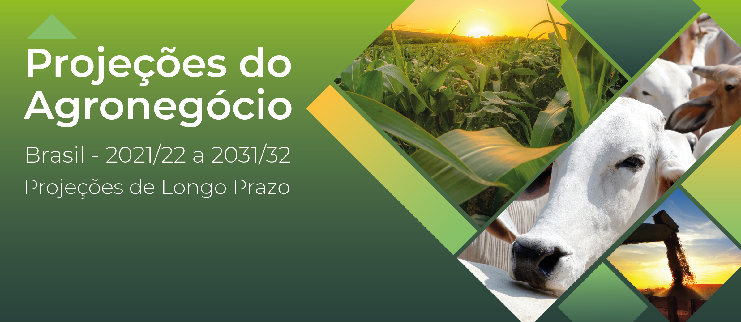 PROJEÇÕES DO AGRONEGÓCIO 2021-2022 a 2031-32