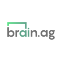 LOGO BRAIN .png