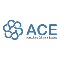 ACE (1).PNG