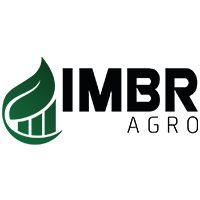 IMBR_LOGO_fundo_transparente.png