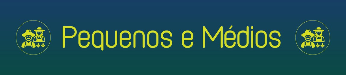 WEB_Pequenos e Médios.jpg