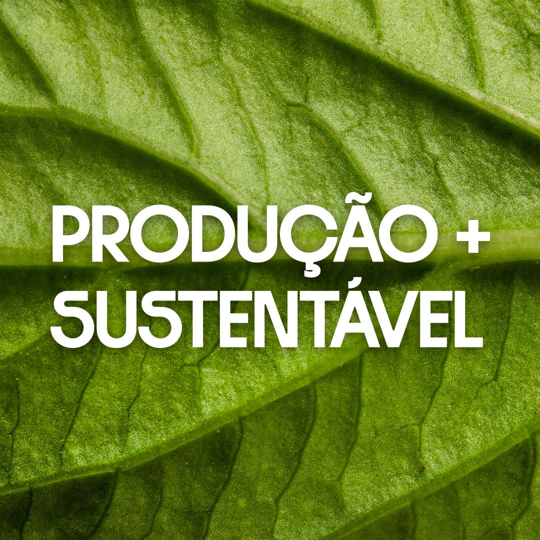 Produção mais sustentável