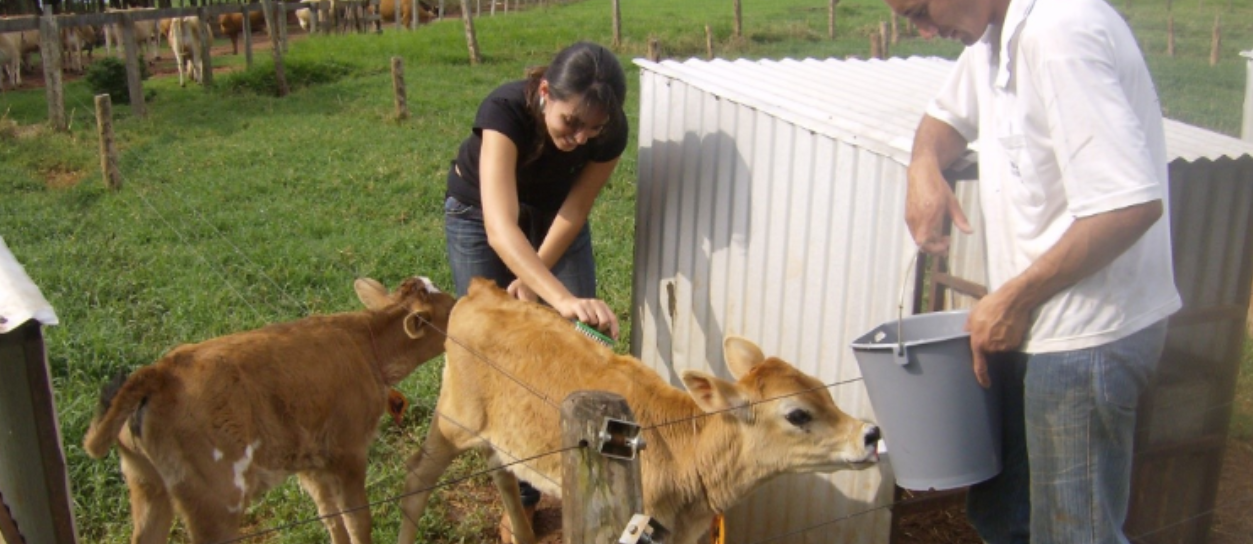 Boas Práticas e Bem-estar Animal