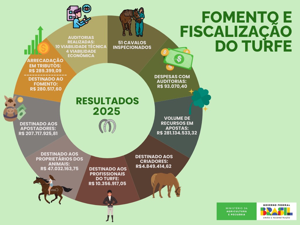 Infográfico referente ao ano de 2025