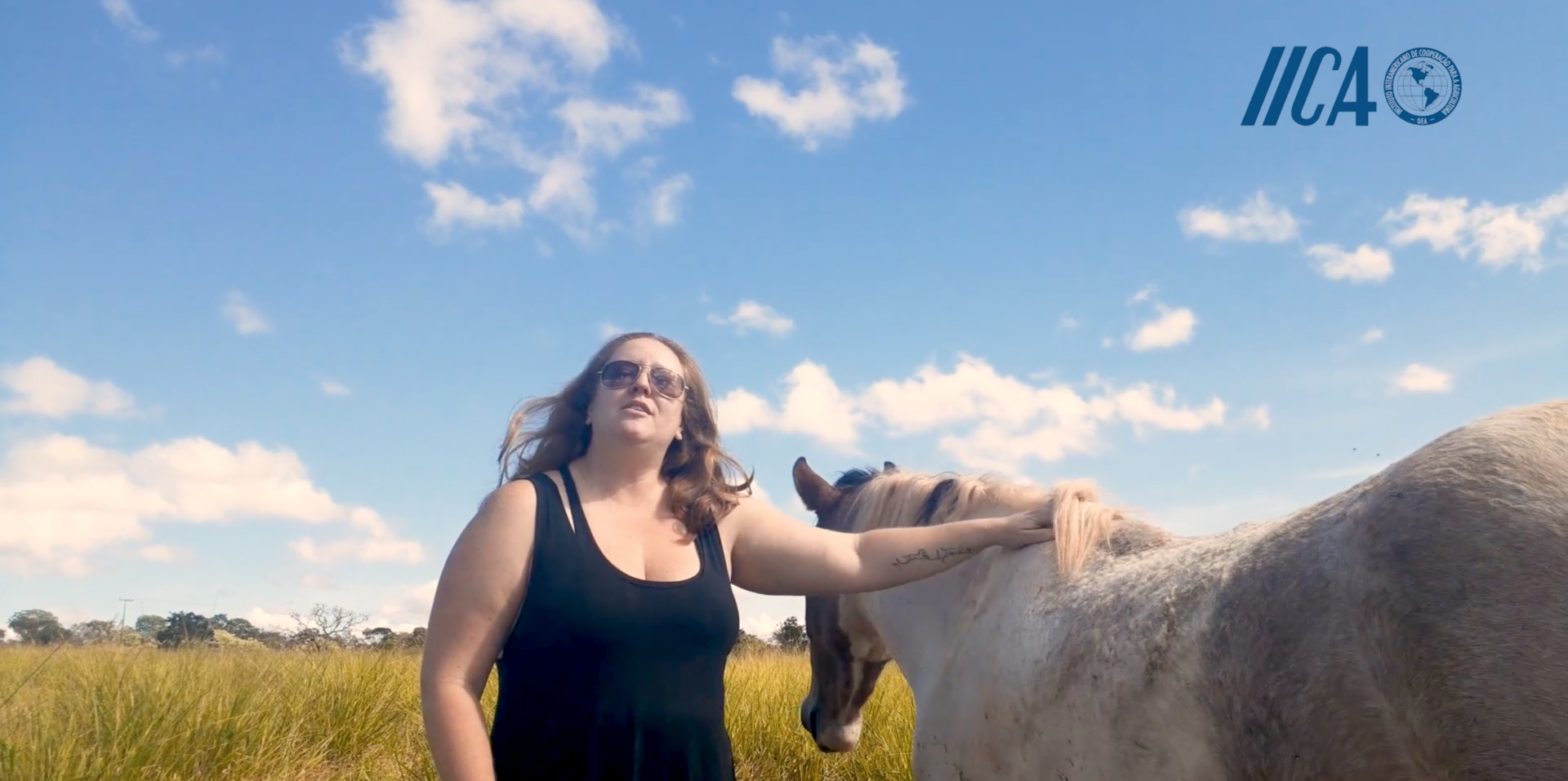 Curso em Boas Práticas na Equideocultura