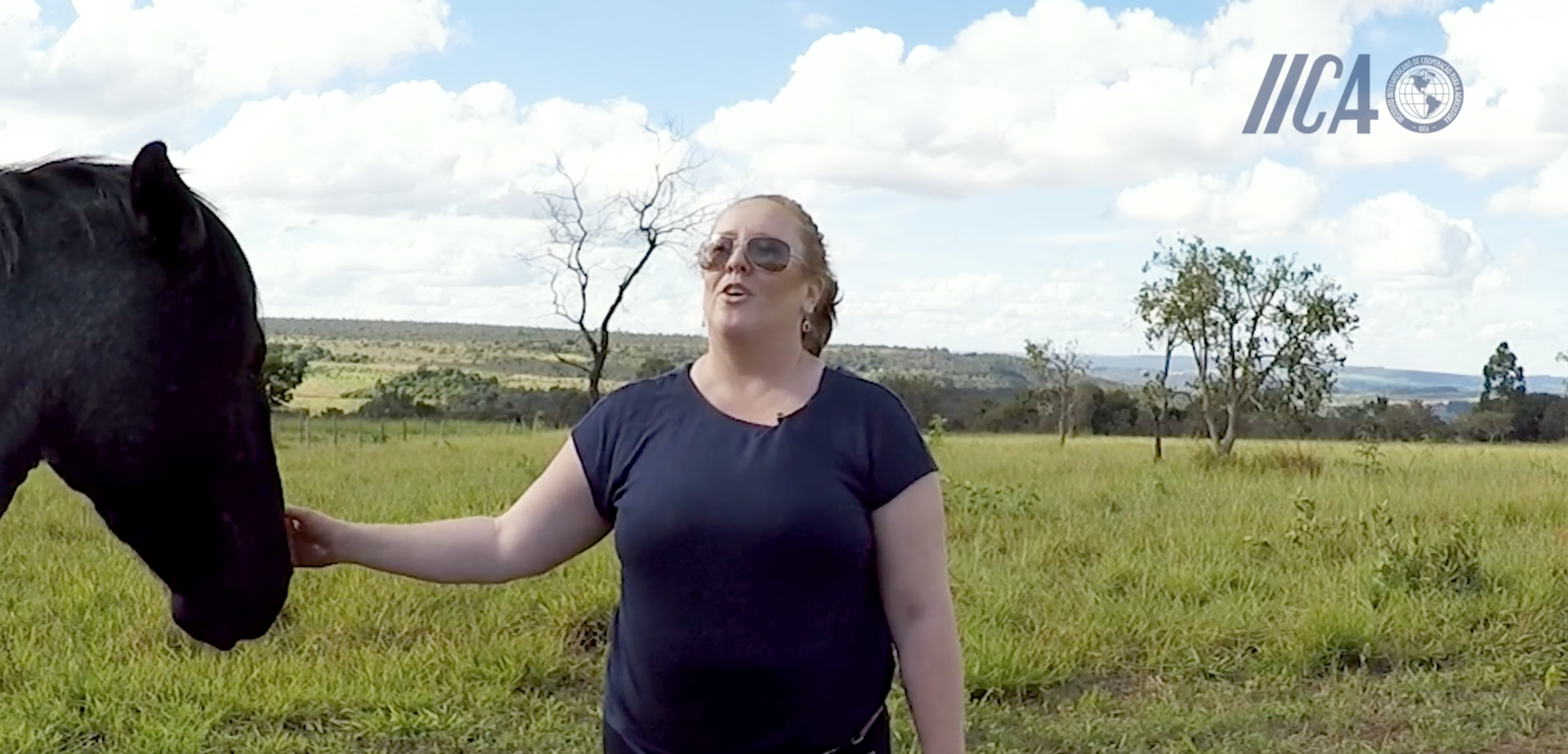  Curso Introdução ao Bem-estar Animal.png