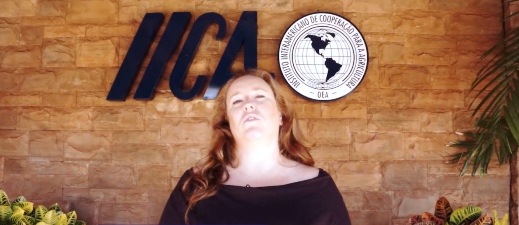 Curso Transporte Legal de Bovinos