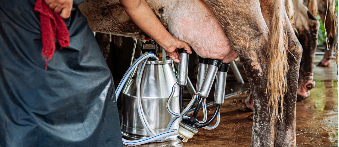 Agricultura Familiar