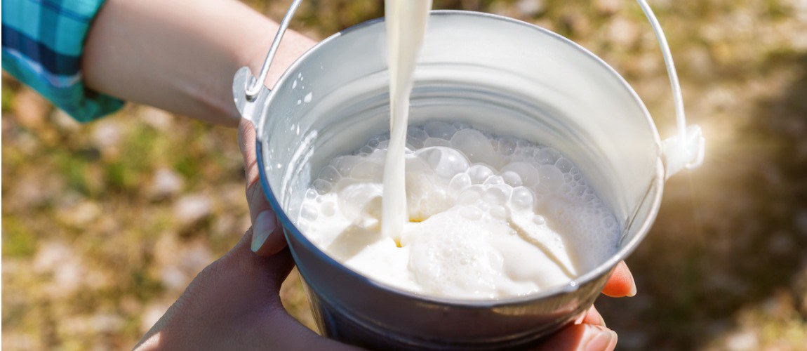 Programa Leite Saudável.jpg