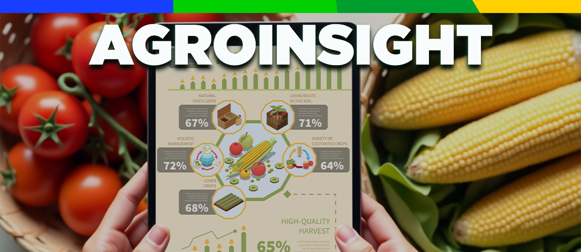 AgroInsight