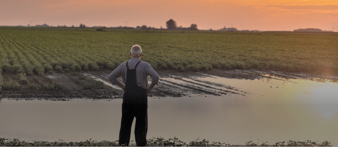 foto site seguro.png