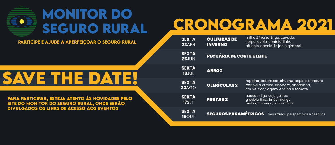 FOTO SITE - Calendário monitor 2021 NOVO.png