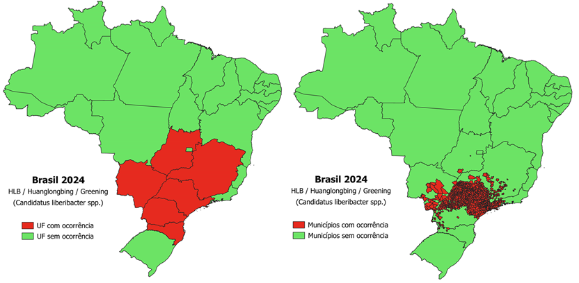 hlb2024a